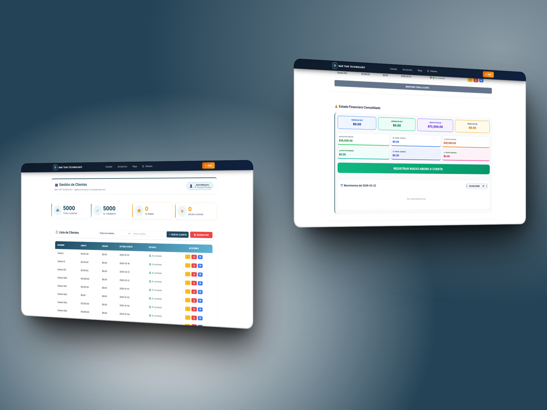 Cartera de Clientes & Créditos